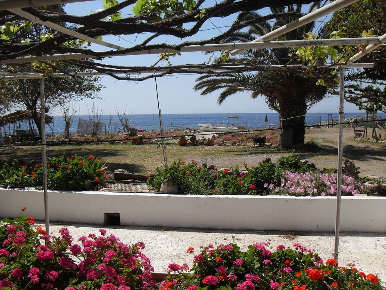 Ground Floor Sea View